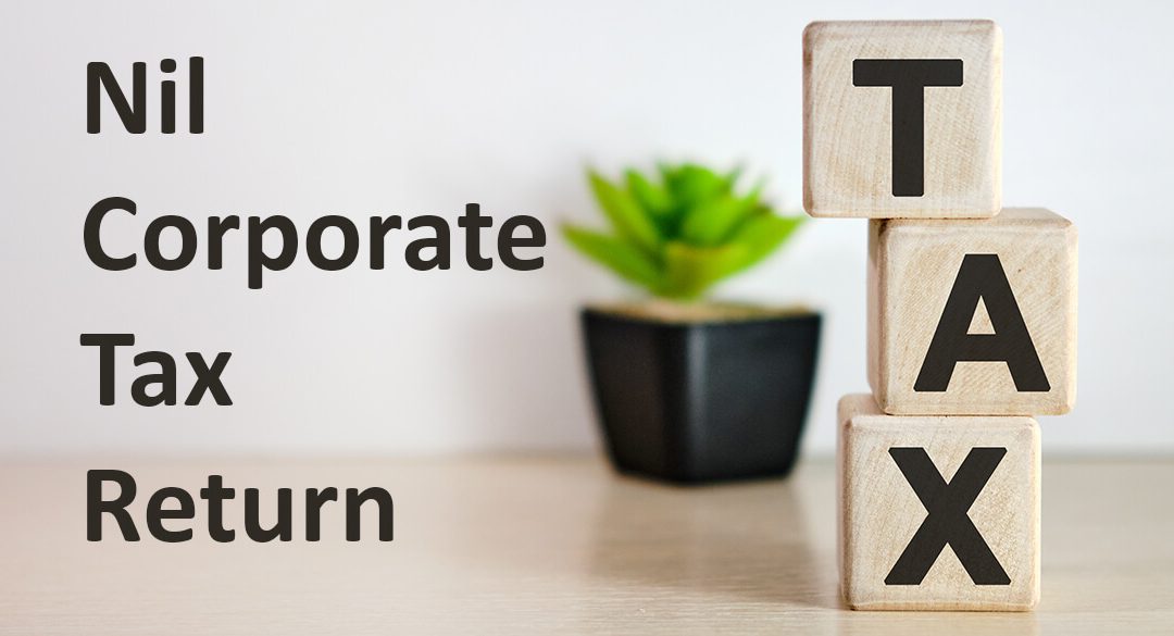 How much does nil corporate tax return cost?