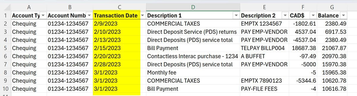 Transaction dates from bank export are not recognized
